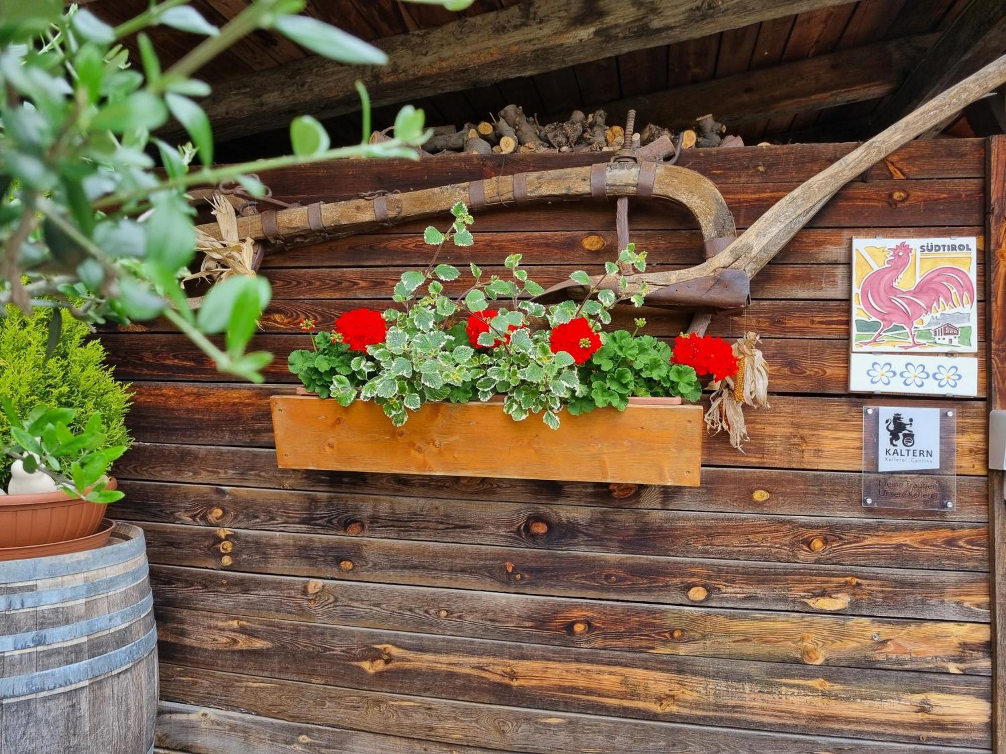 Urlaub Auf Dem Bauernhof Schmidhof - Grosse Terrasse, Pool Und Beste Lage Caldaro Exteriér fotografie